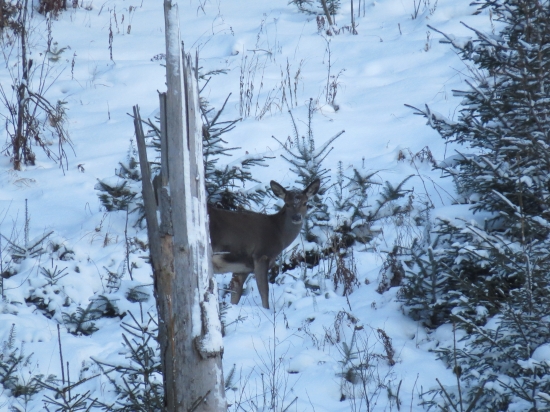 nastali ťažké časy