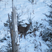 nastali ťažké časy