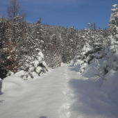 presne pred rokom....