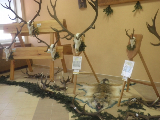 Chovateľská  VLM Javorina