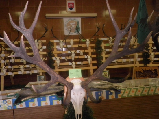 222,6 CIC -Levočské pohorie