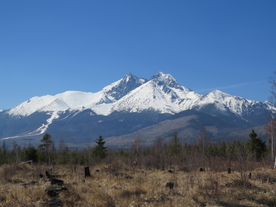 Tatry z Kežmarských Žľabov