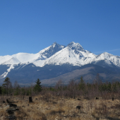 Tatry z Kežmarských Žľabov