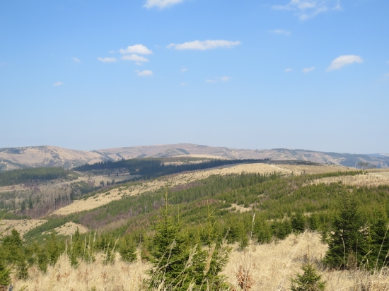Gehuľa v pozadí Javorina
