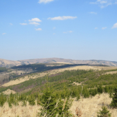 Gehuľa v pozadí Javorina