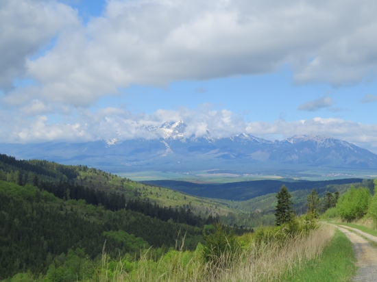 Ľubická dolina a Tatry