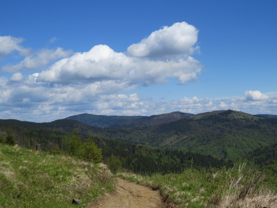 Pohľad na vrch Škapová