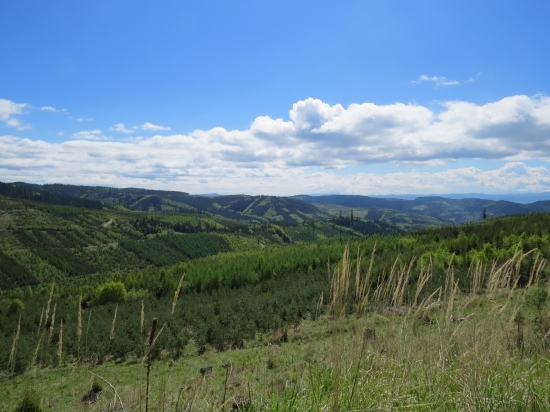 Kozí hrb vzadu Levočská Dolina