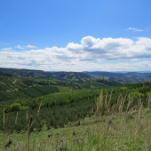 Kozí hrb vzadu Levočská Dolina