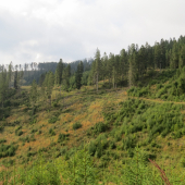 miesto postriežkové 2