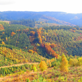 Jeseň v Levočských vrchoch