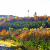 Jeseň v Ľubickej doline