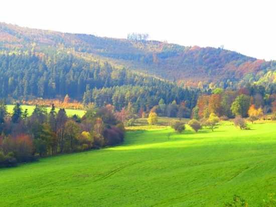 Nad Voliarňou
