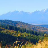 Levočské vrchy a Tatry