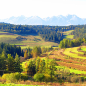 Príroda v okolí Hradiska