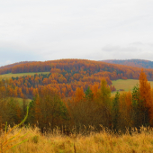 Jeseň v Levočských vrchoch