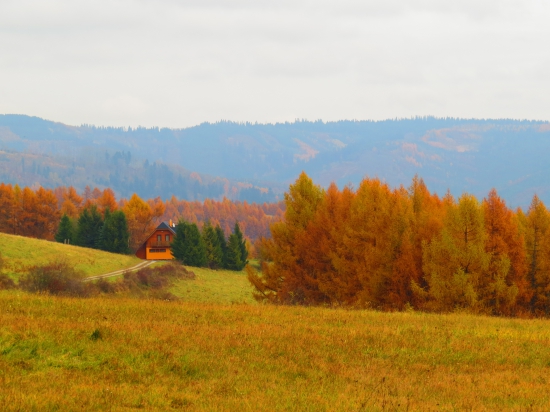 Dvorce na jeseň