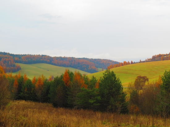 Ruskinovská dolina