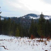 Jar zatiaľ v nedohľadne...