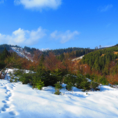 Zimno-jarná scenéria