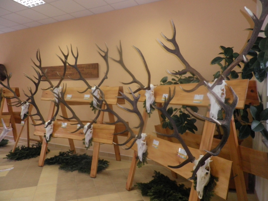 Medailové-VLM Javorina