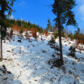 Sneh ešte drží...