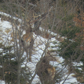 Hrali sme sa na schovávačku...