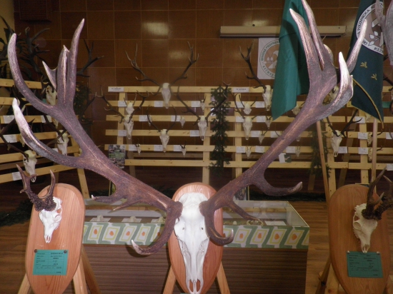 Chovateľská prehliadka OPK Kežmarok