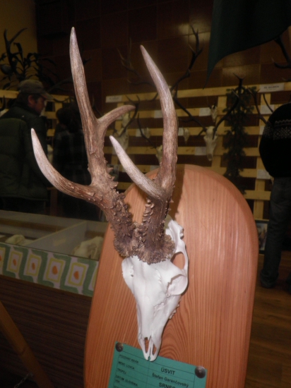 Druhý zlatý z Kežmarku