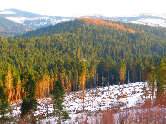 Pohľad do doliny