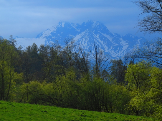 Tatry v pozadí...
