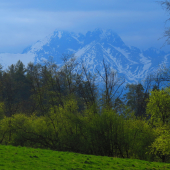 Tatry v pozadí...