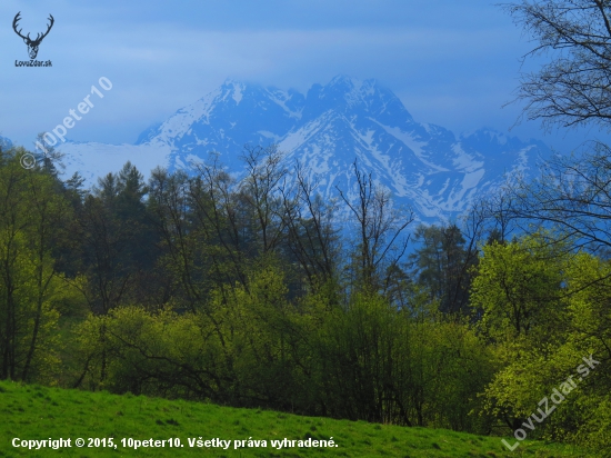 Tatry v pozadí...