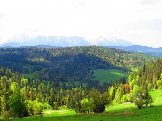 Spišská Magura...