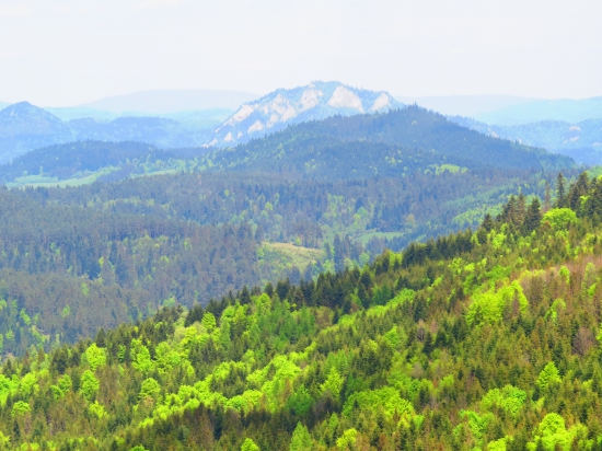 Z Toporeckého sedla...