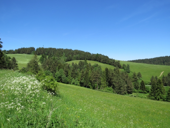 Hanušovské sedlo