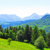 Z Hanušovského sedla