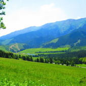 Strednica a Belianky...