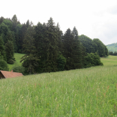 Na lúkach V. Fatry...