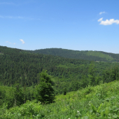 Príroda nad Osturňou...