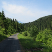 V Levočských vrchoch...