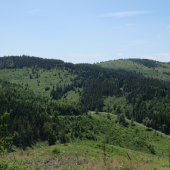 V Levočských vrchoch...