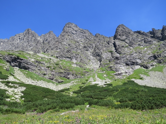 Granáty a Bradavica