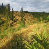 Miesto postriežkové...