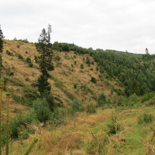 V Levočských vrchoch...