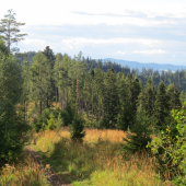 Jeseň sa blíži...