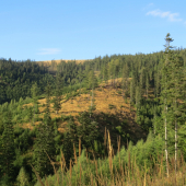 Dnešné miesto na postriežku...