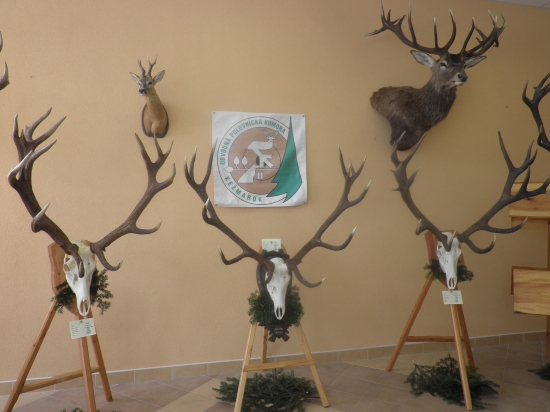 Najsilnejšie z regiónu KK