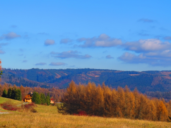 Levočské vrchy...