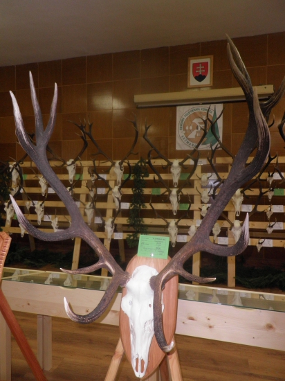 Najsilnejší z okresu Kežmarok...